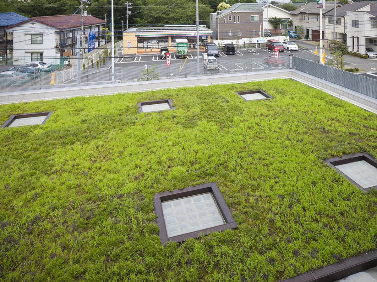 東京都立三鷹中等教育学校