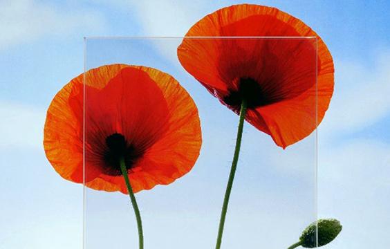 写真：防火ガラス ファイアライト®シリーズがさらに充実。クリアな色調の「ファイアライト®Ｆ エアリティ™」新発売